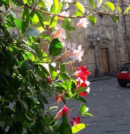 Guglionesi Nenet Bed & Breakfast エクステリア 写真