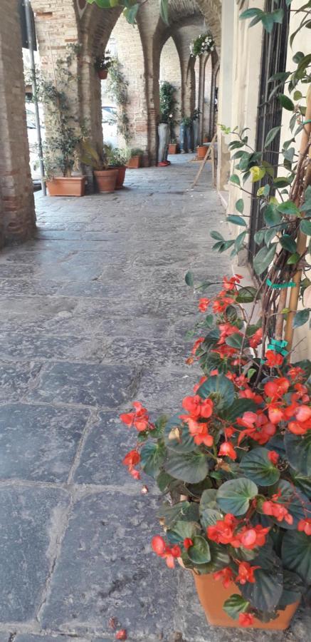 Guglionesi Nenet Bed & Breakfast エクステリア 写真
